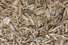 biomass boilers Calderstones