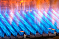 Calderstones gas fired boilers
